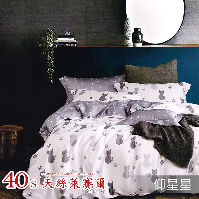 Tencel天絲™萊賽爾纖維製成的 100%40支 【仰星星】 鋪棉床包舖棉兩用被四件式組-40aa